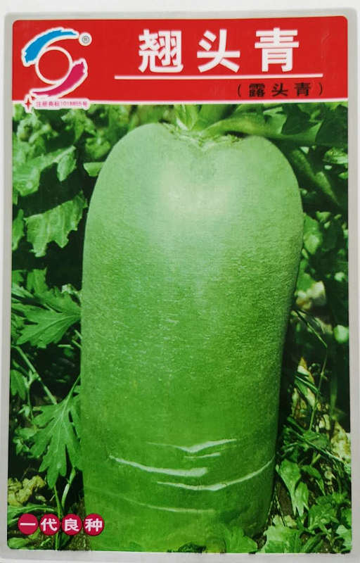 Qiaotouqing——Fruit Radish